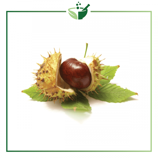 Horse Chestnut Extract-012